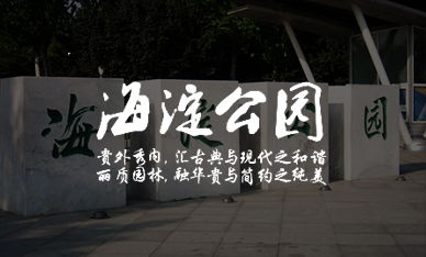 北京网站建设公司 北京网站设计 网页设计制作 高端网站建设 分形科技