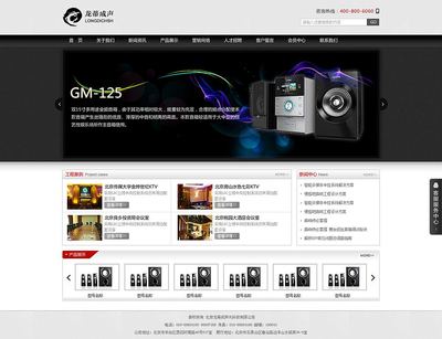 北京龙蒂成声光科技有限公司-传诚信网站建设案例